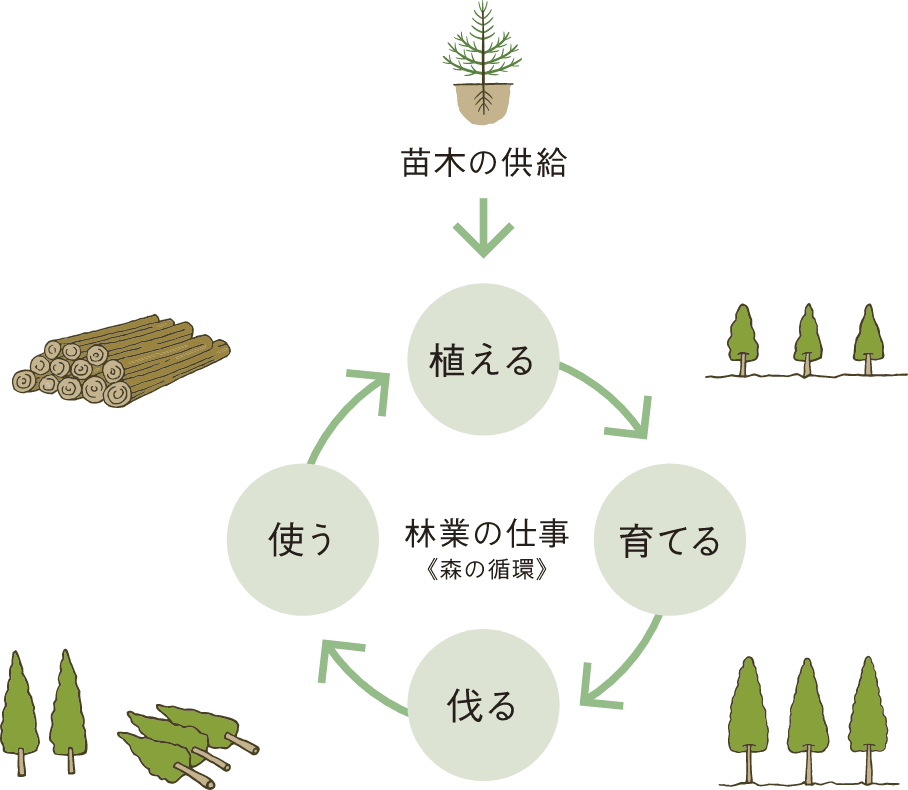 林業のサイクル